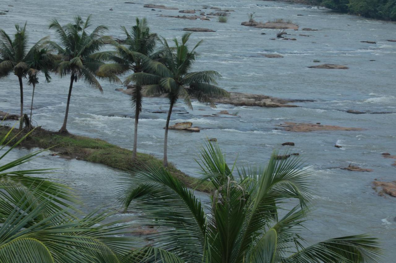 The Anchorage Athirapilly Resort Athirappilly Bagian luar foto